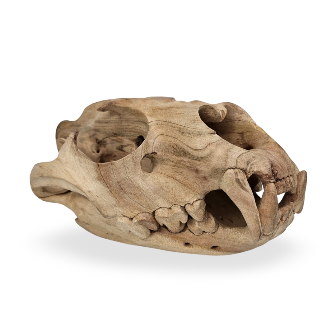Lion skull carving - Image 3