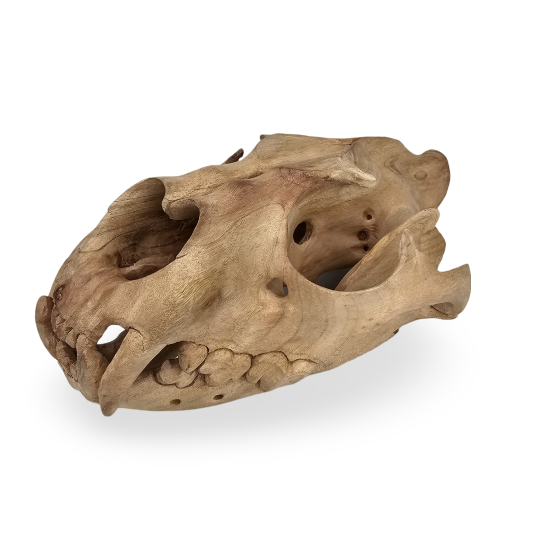 Lion skull carving - Image 4