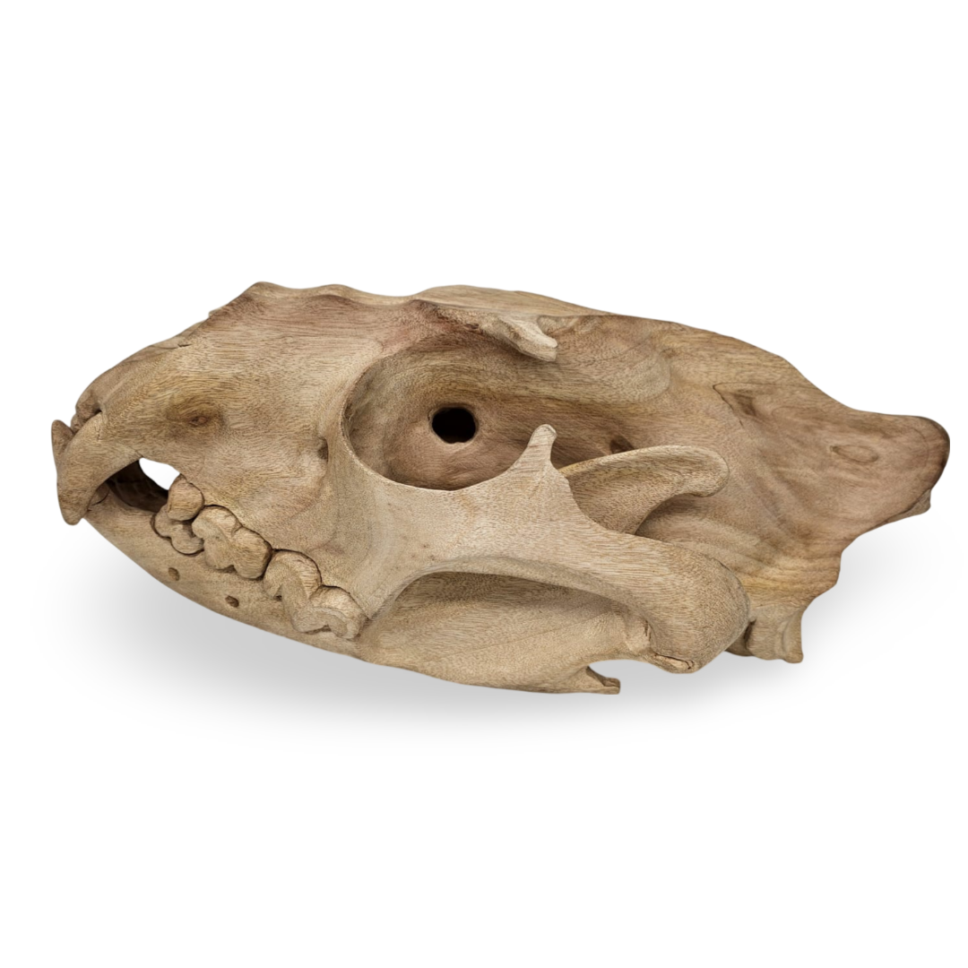 Jacaranda lion skull carving