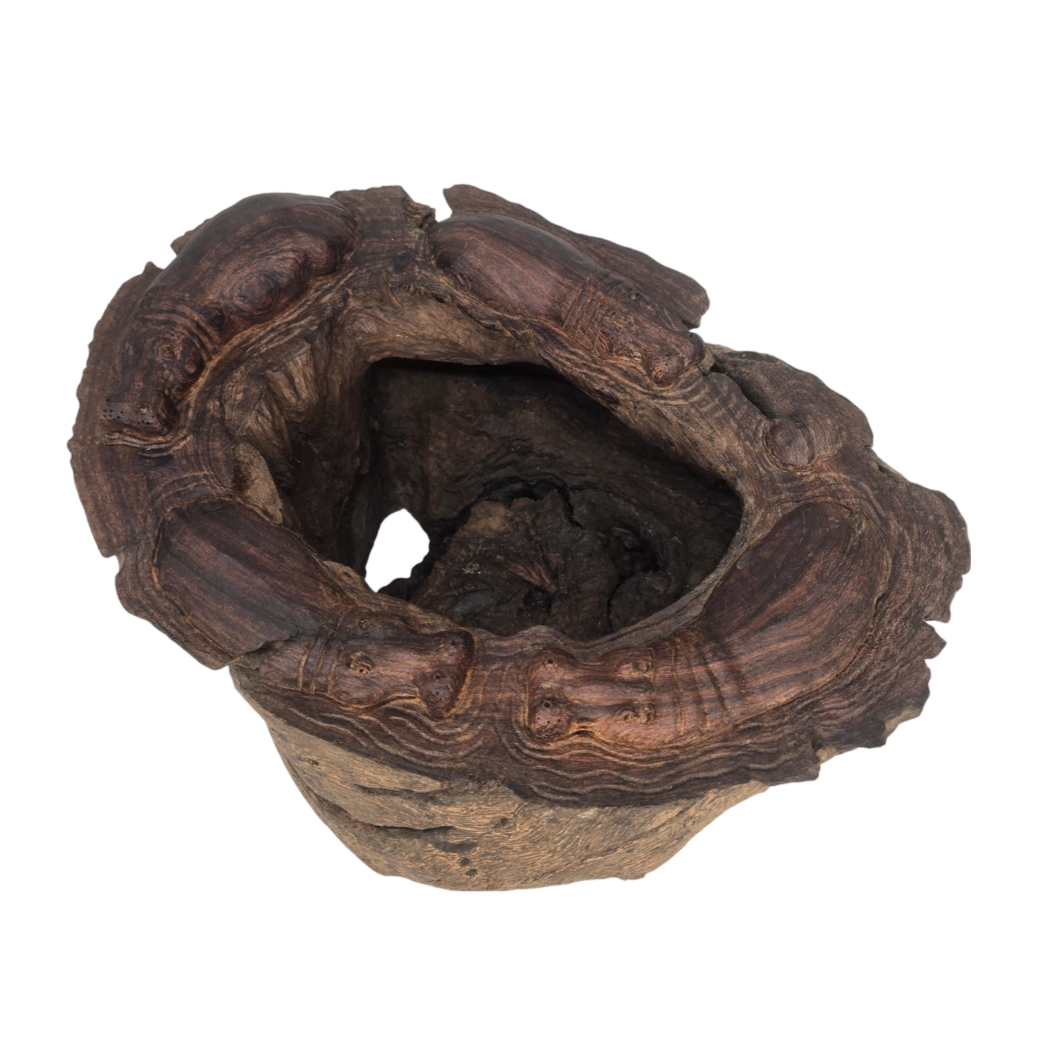 Rustic bowl with hippo carving - Leadwood - Image 3